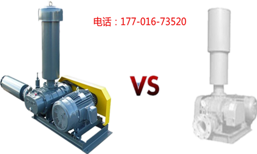 罗茨91AV手机看片.jpg